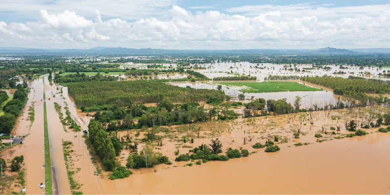 How Hospitality Businesses Can Prepare for and Recover from Disasters